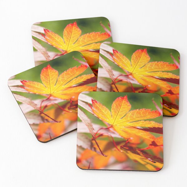 Item preview, Autumn Acer Leaf in Orange and Red  by heidiannemorris ©️  designed and sold by FOLK ART FUSION by heidiannemorris.