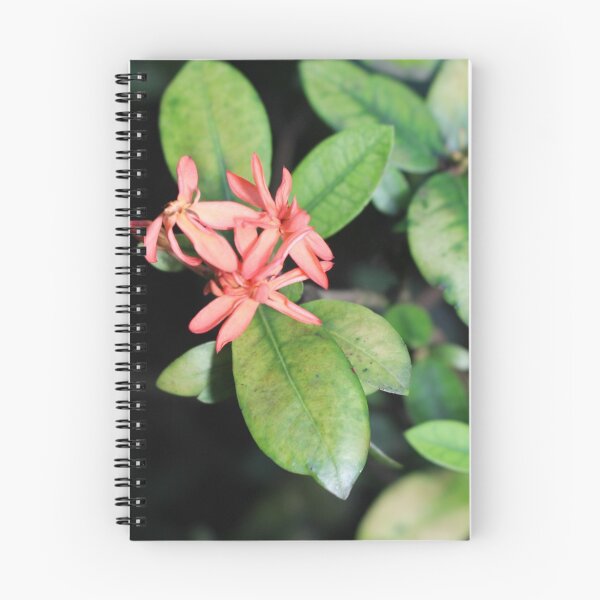 Item preview, Tropical Exotic Coral Flower, Kew Gardens, London designed and sold by Fiona Cross.