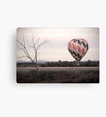Firefly Canvas Print