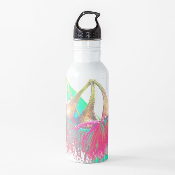 Gum Nut Flowers Art, Floral Graphic, Water Bottle
