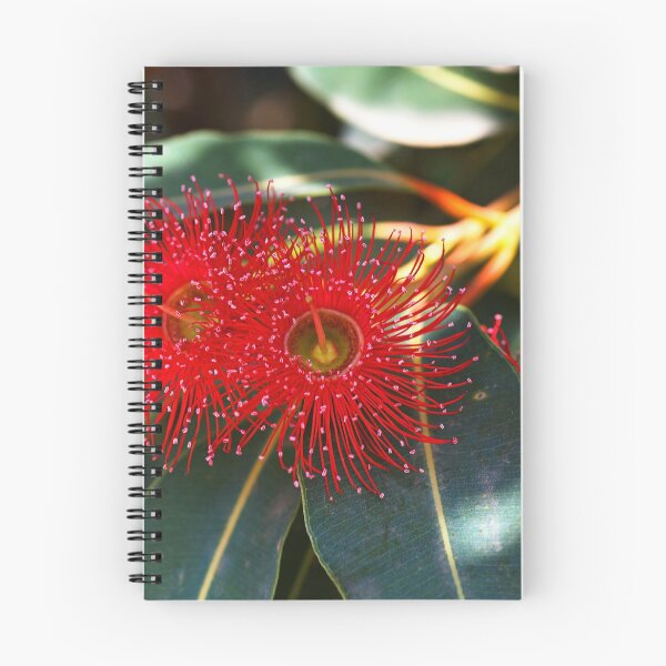 Item preview, Eucalipto Flores Rojo designed and sold by Joy Watson - Natural Light Photography .