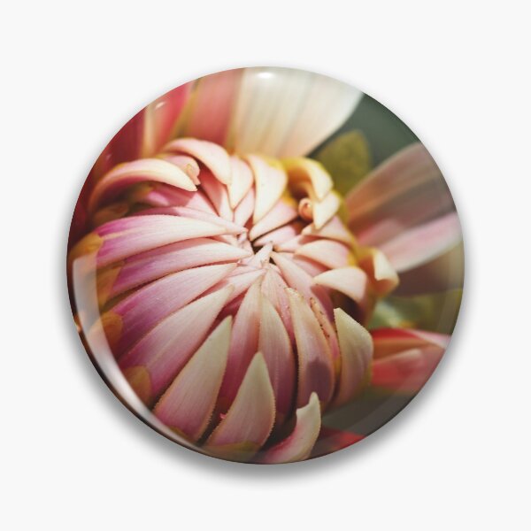 Artikelvorschau, Dahlien Sohle entworfen und verkauft von Joy Watson - Natural Light Photography .
