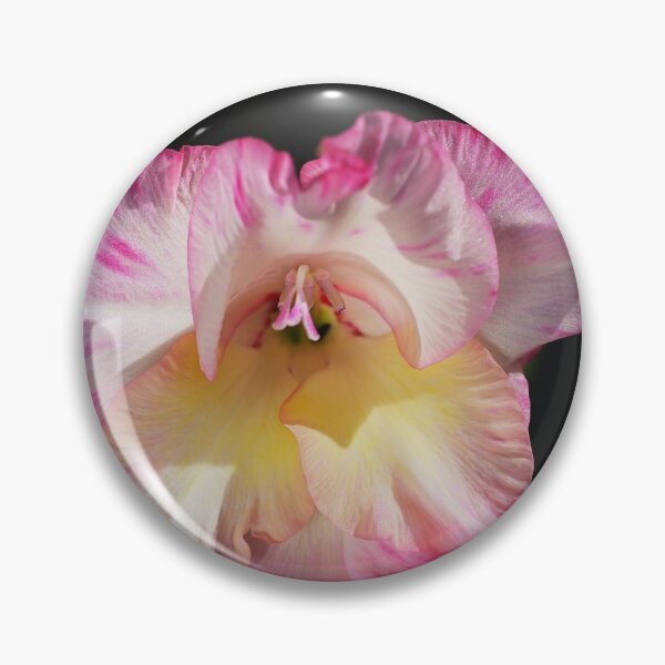 Item preview, Pink Gladiolus Bloom designed and sold by Joy Watson - Natural Light Photography .