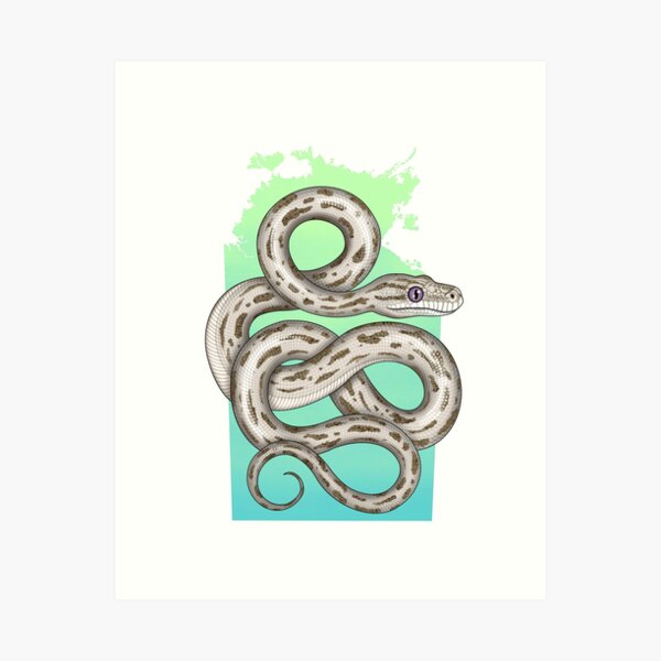Item preview, Oenpelli Python NT designed and sold by miss-varanus.