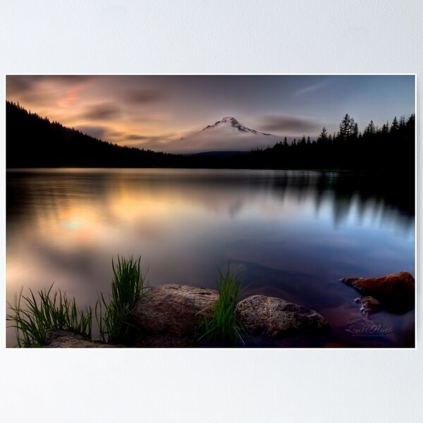 Item preview, Trillium Twilight designed and sold by Leasha Hooker.