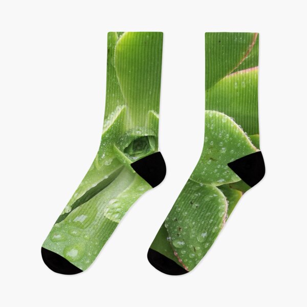 Item preview, Succulent with raindrops designed and sold by PPFImages.