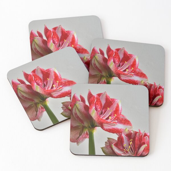 Item preview, Amaryllis designed and sold by Irene168.