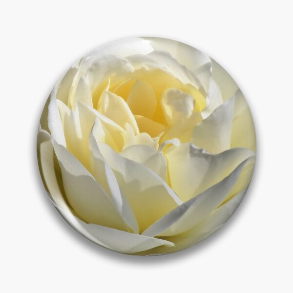 Item preview, Cream and white Rose designed and sold by Irene168.