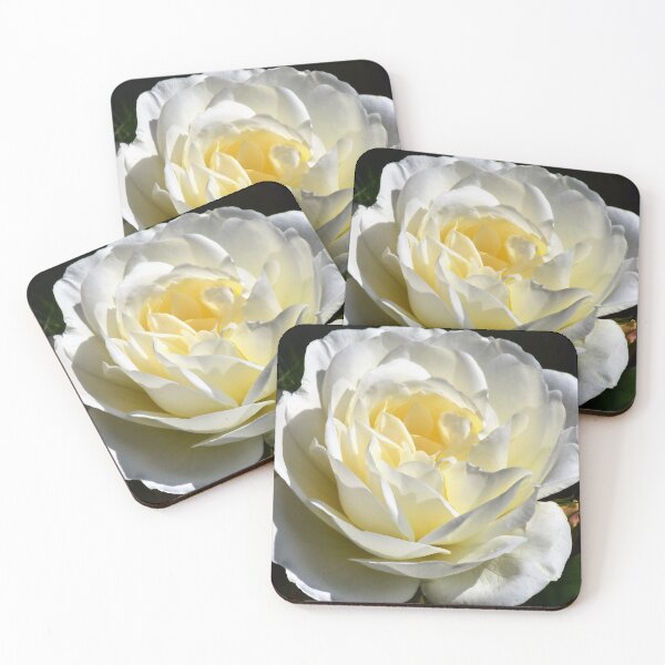 Item preview, Cream and white Rose designed and sold by Irene168.