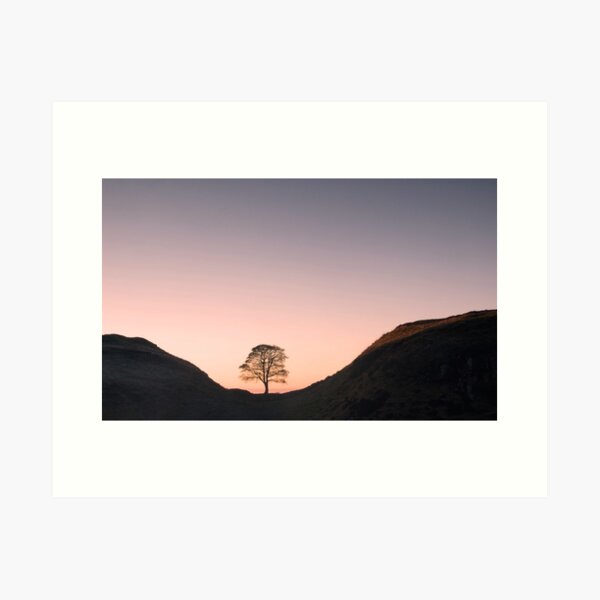 Hadrian's Wall at Sycamore Gap Art Print