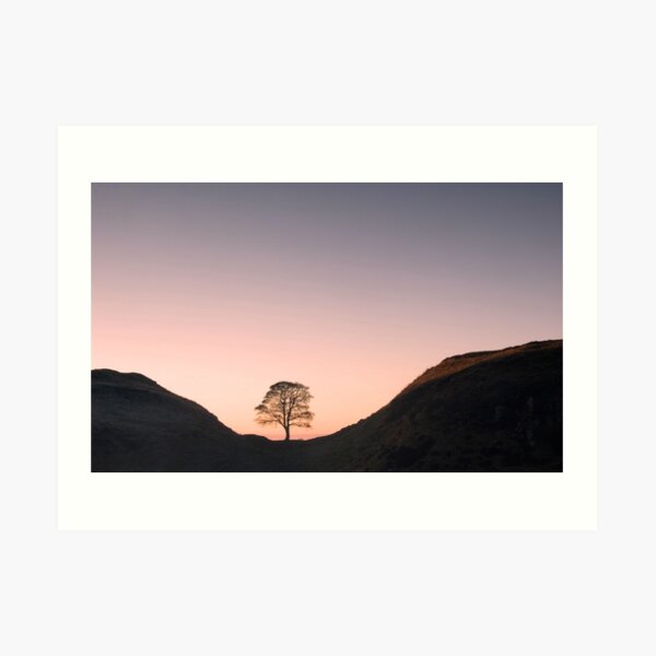 Hadrian's Wall at Sycamore Gap Art Print