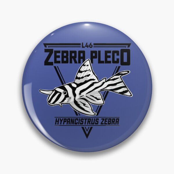 Item preview, Zebra Pleco L46 Aquarium L046 Tropical Ornamental Fish Hypancistrus Catfish L number designed and sold by TheAplus.