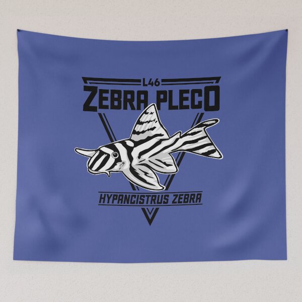 Item preview, Zebra Pleco L46 Aquarium L046 Tropical Ornamental Fish Hypancistrus Catfish L number designed and sold by TheAplus.