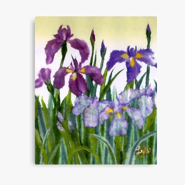 Irises Canvas Print