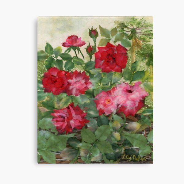 Lokelani Canvas Print