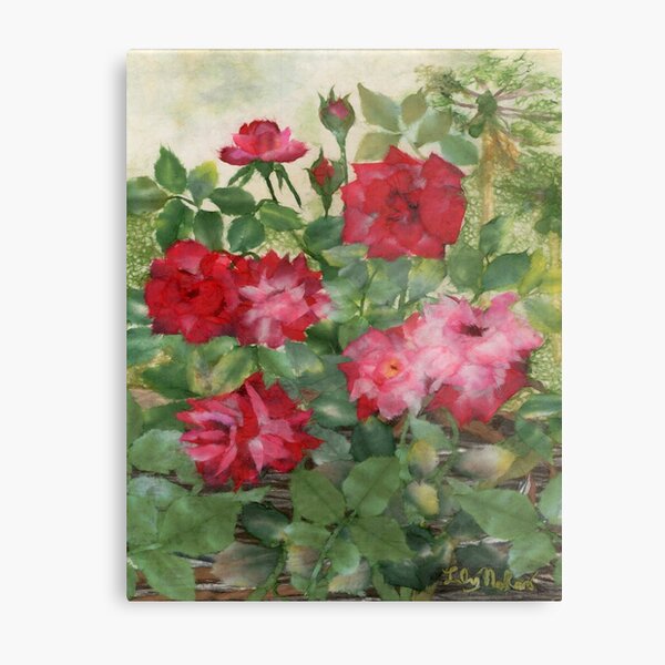 Lokelani Metal Print