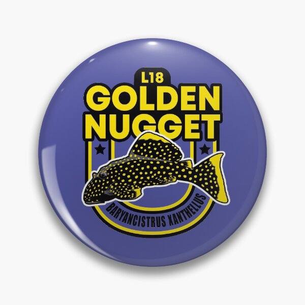 Item preview, L18 Golden Nugget Pleco - Baryancistrus xanthellus Tropical Aquarium Catfish designed and sold by TheAplus.