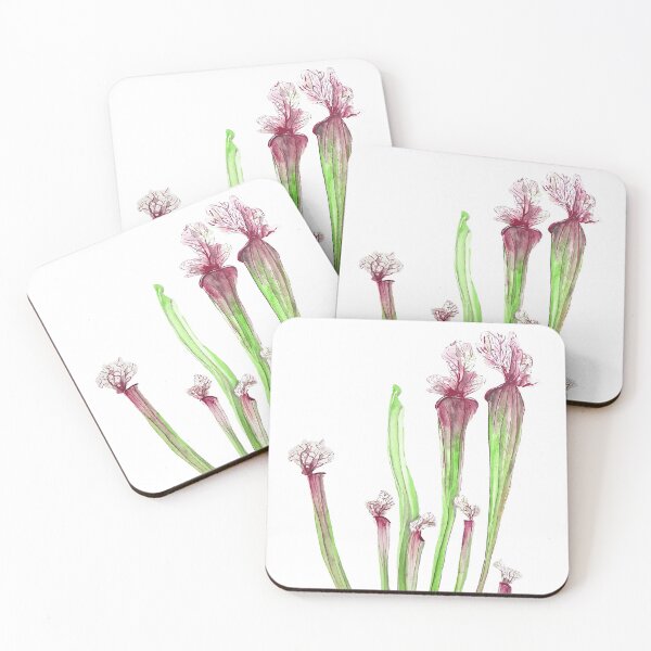 Item preview, hand painted sarracenia leucophylla leaf watercolor designed and sold by ColorandColor.