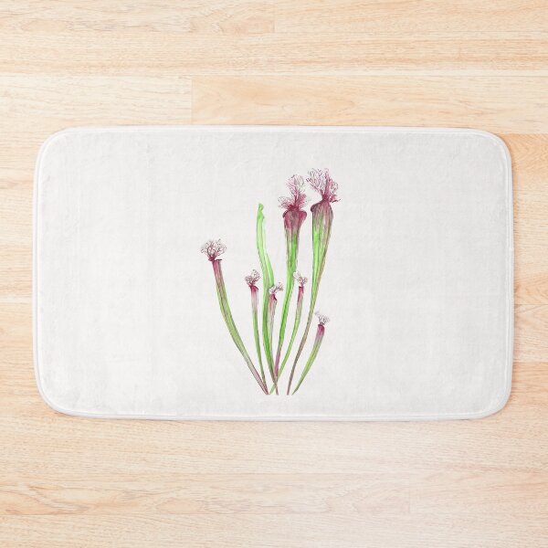 Item preview, hand painted sarracenia leucophylla leaf watercolor  designed and sold by SelenePaintings .