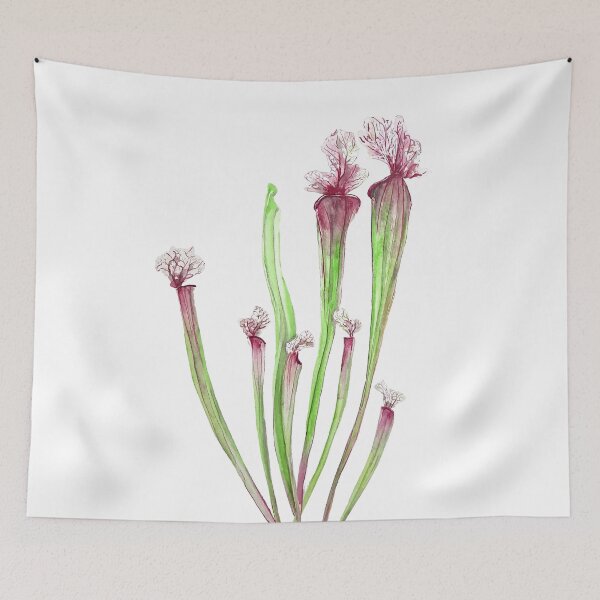 Item preview, hand painted sarracenia leucophylla leaf watercolor designed and sold by SelenePaintings .