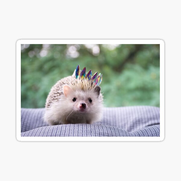 Item preview, Cute Hedgehog designed and sold by cgroenewald.