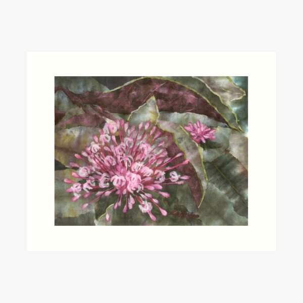 Clerodendron Art Print