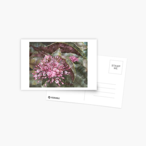 Clerodendron Postcard