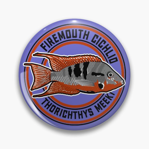 Item preview, Firemouth Cichlid - Tropical Ornamental Aquarium Fish designed and sold by TheAplus.