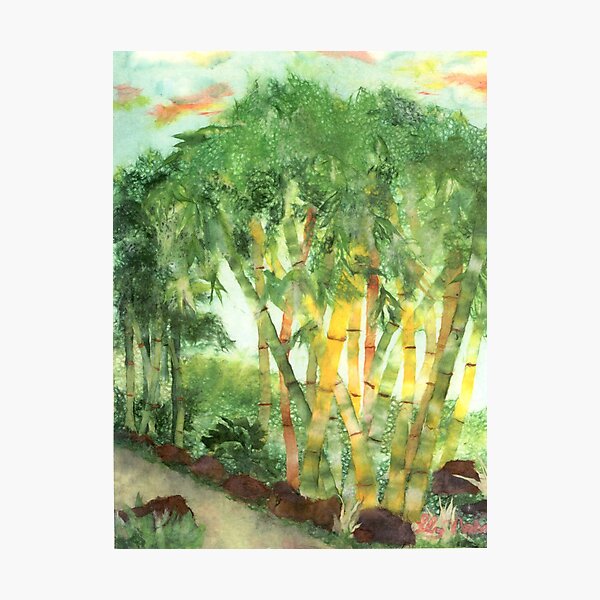 Bamboo in Chinatown Photographic Print