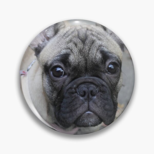 Item preview, French Bulldog Puppie designed and sold by Mythos57.