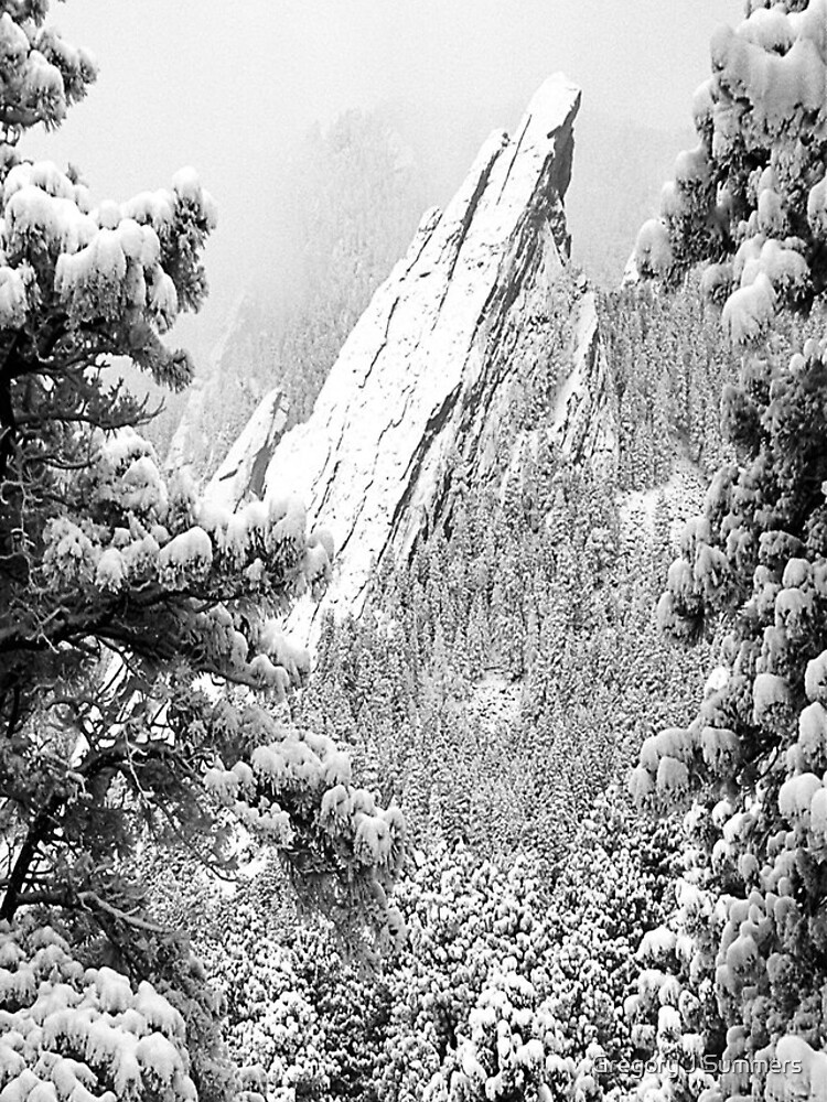 Flowers and Flatirons by nikongreg