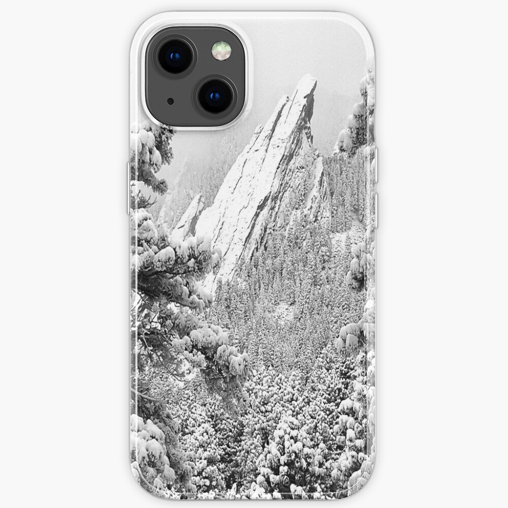 Flowers and Flatirons iPhone Case