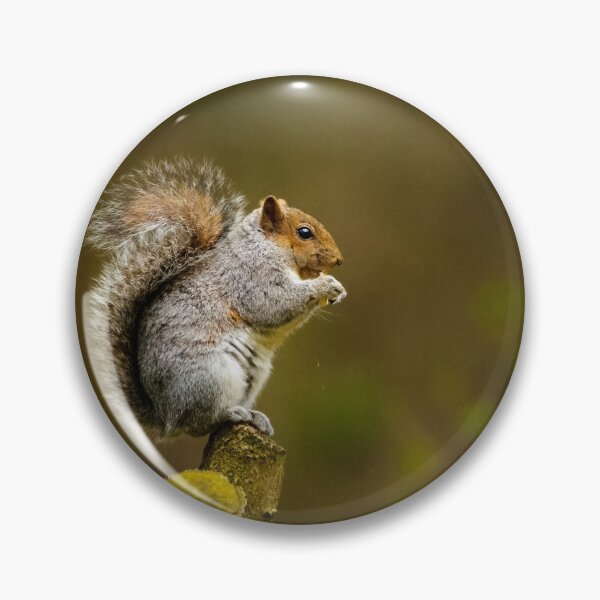 Item preview, Cute Squirrel  designed and sold by cgroenewald.