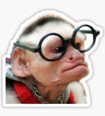 Funny Monkey Sticker