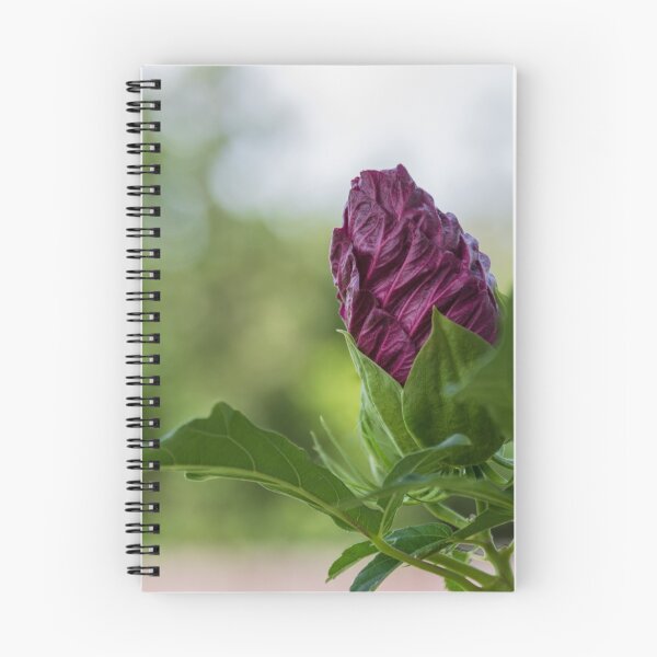 Item preview, Ready to Unfurl designed and sold by AhArtography.