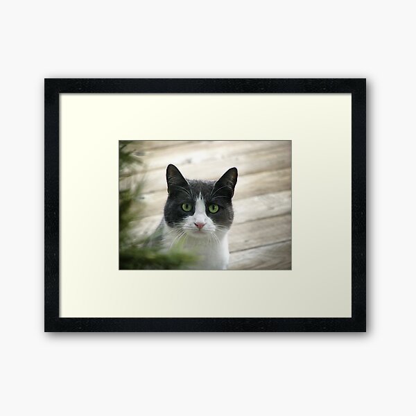 Nobody Knows the Troubles I've Seen Framed Art Print