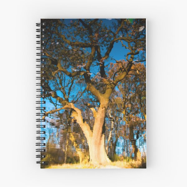 Item preview, Tree Reflection designed and sold by Darren Taylor.