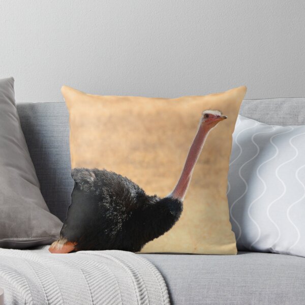 Item preview, Ostrich portrait designed and sold by David McGilchrist.