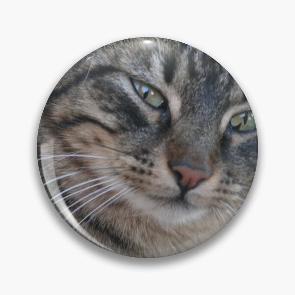 Artikelvorschau, Neugierige getigerte Katze mit grünen Augen entworfen und verkauft von taiche.