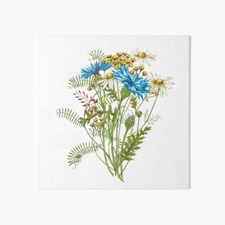 Wildflowers & Gardenflowers Art Board Print