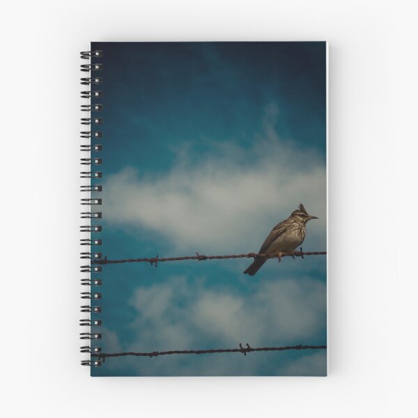 Item preview, Bird on a Wire designed and sold by Darren Taylor.