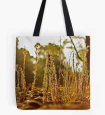 A grassy sunset 2 Tote Bag