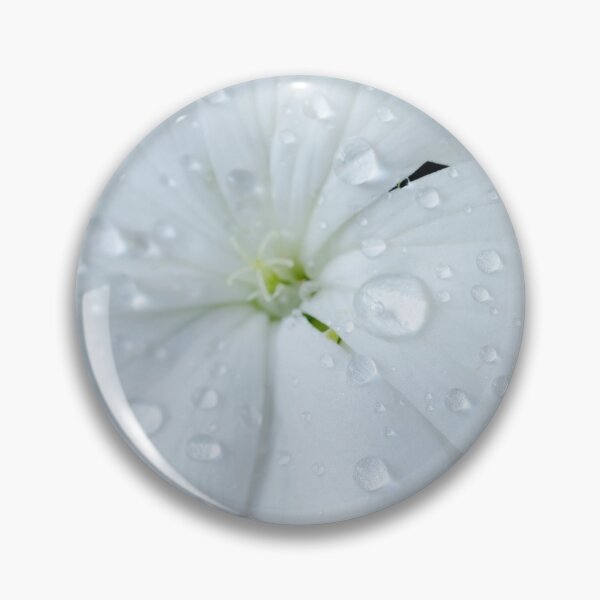 Item preview, Pelargonium  'Orbit White'  Geranium  F1 Hybrid   designed and sold by Chris Burrows.
