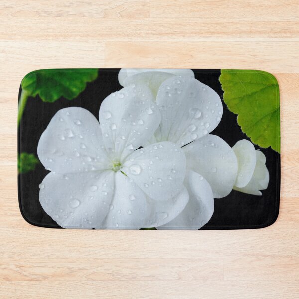 Item preview, Pelargonium  'Orbit White'  Geranium  F1 Hybrid   designed and sold by Chris Burrows.