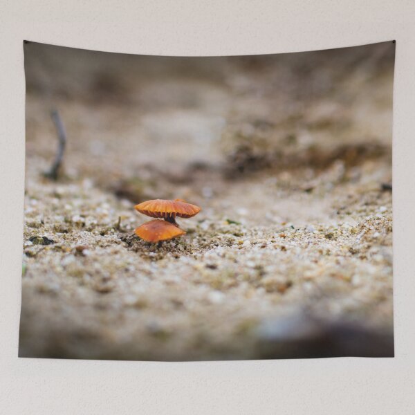 Item preview, Mushrooms in the sand designed and sold by Arc1.