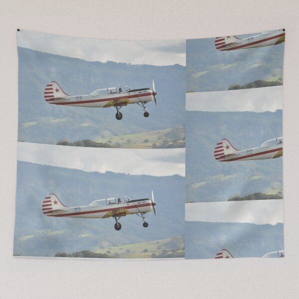 Item preview, Yak52 VH-YYK climbout,Albion Park Airshow,Australia 2016  designed and sold by muz2142.
