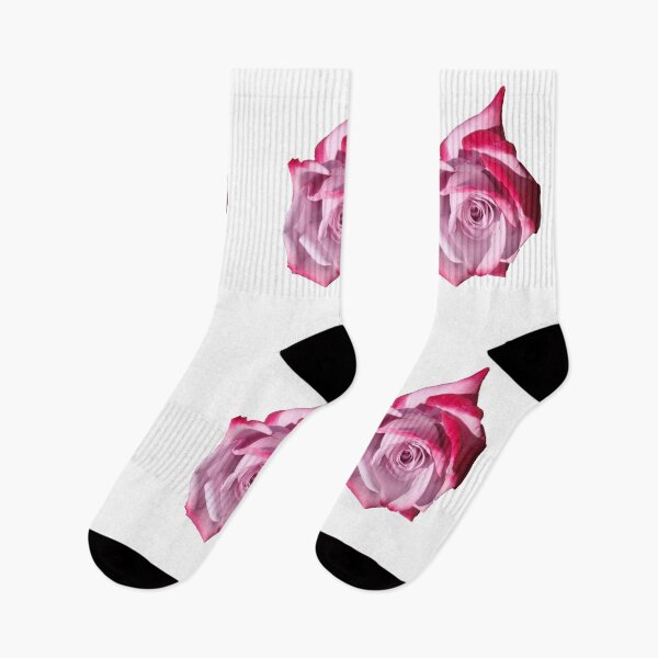 Item preview, Rose of Pinks designed and sold by KazM.