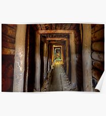 Tunnel Vision. Poster