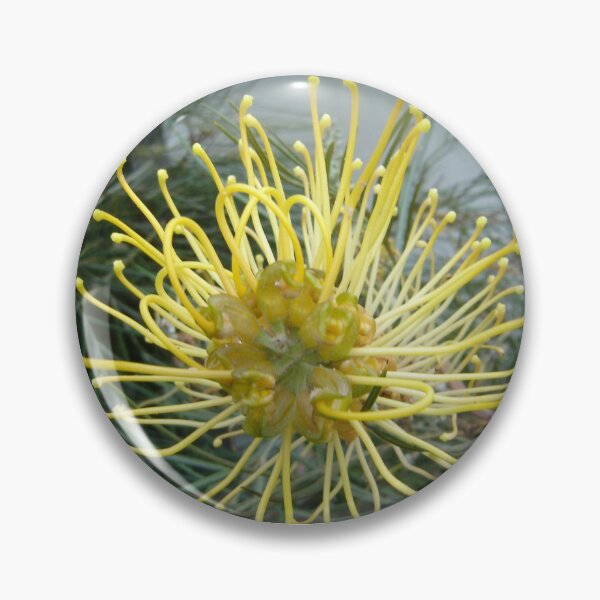 Item preview, Opened wide - Pretty Grevillea inside designed and sold by KazM.