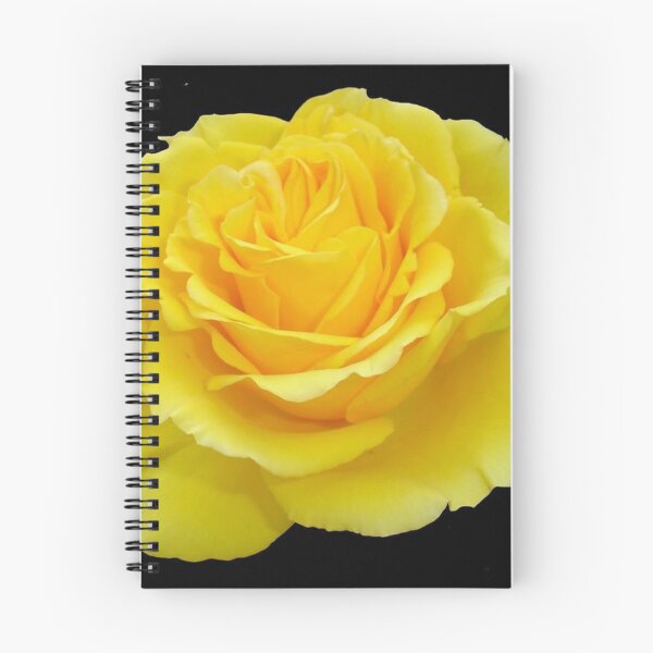 Aperçu de l'œuvre Belle fleur rose jaune sur fond noir créée et vendue par taiche.